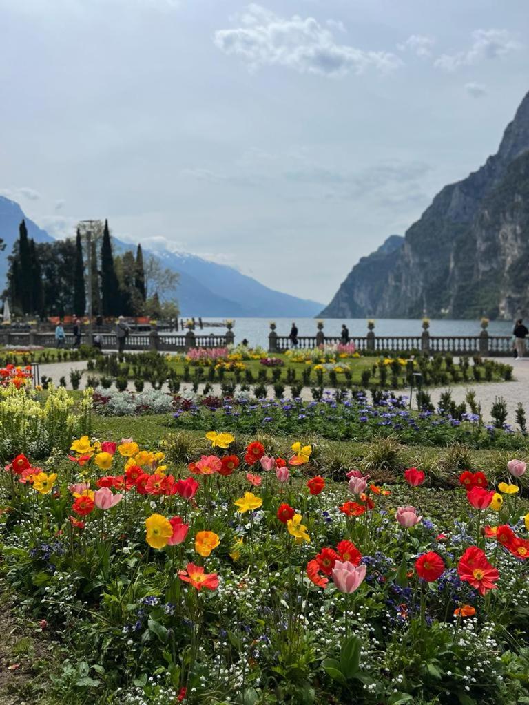 Absentia 1763 Garda Boutique Home - Lake Front Brenzone sul Garda Dış mekan fotoğraf